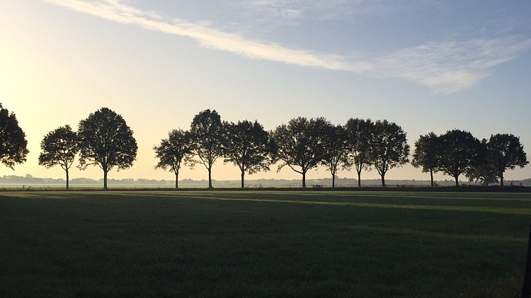 waarom ik radicaal kies voor positiviteit